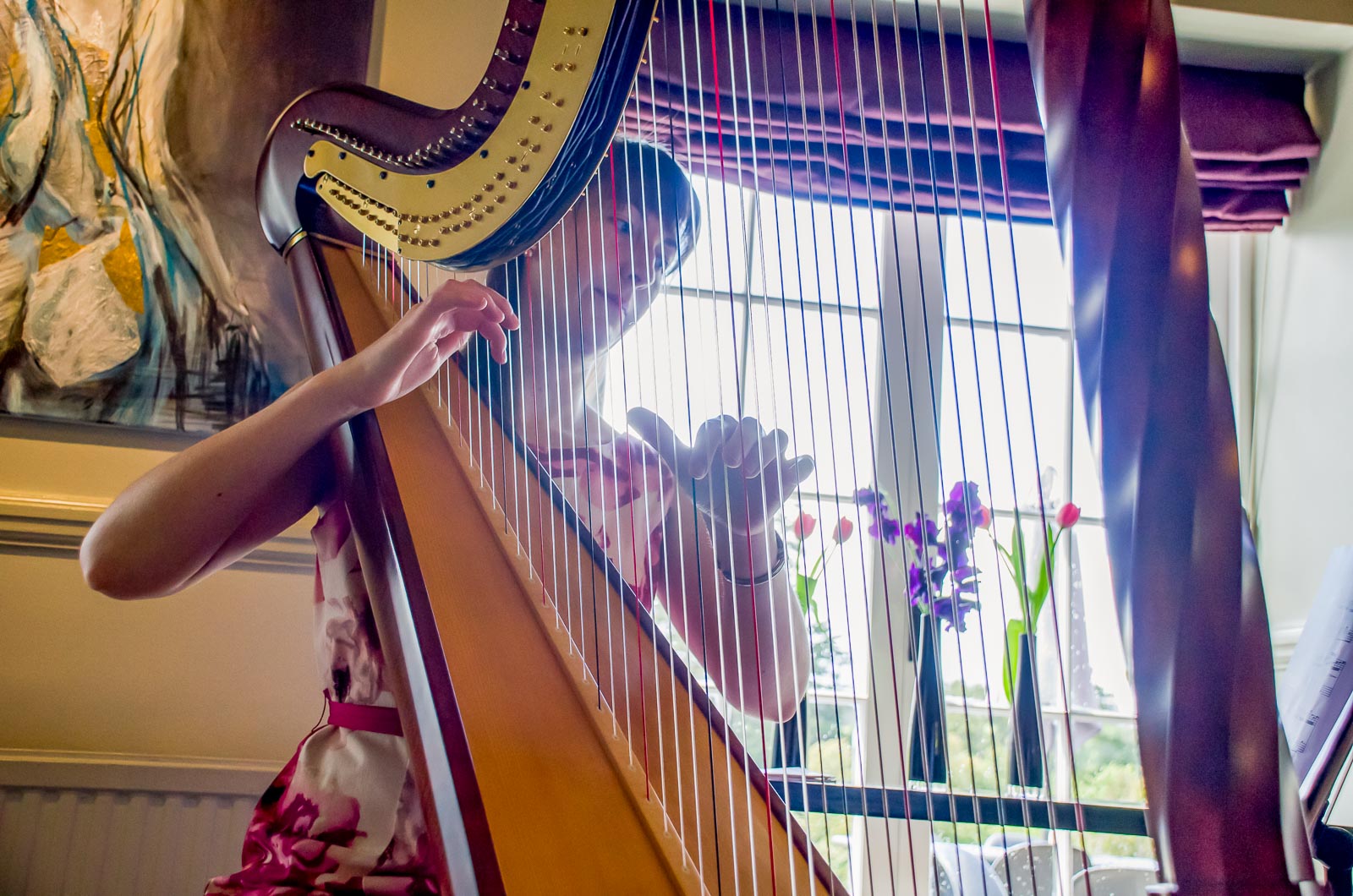 A harpist plays at Tash and Raf's Wedding Reception in Borde Hill, Haywards Heath.