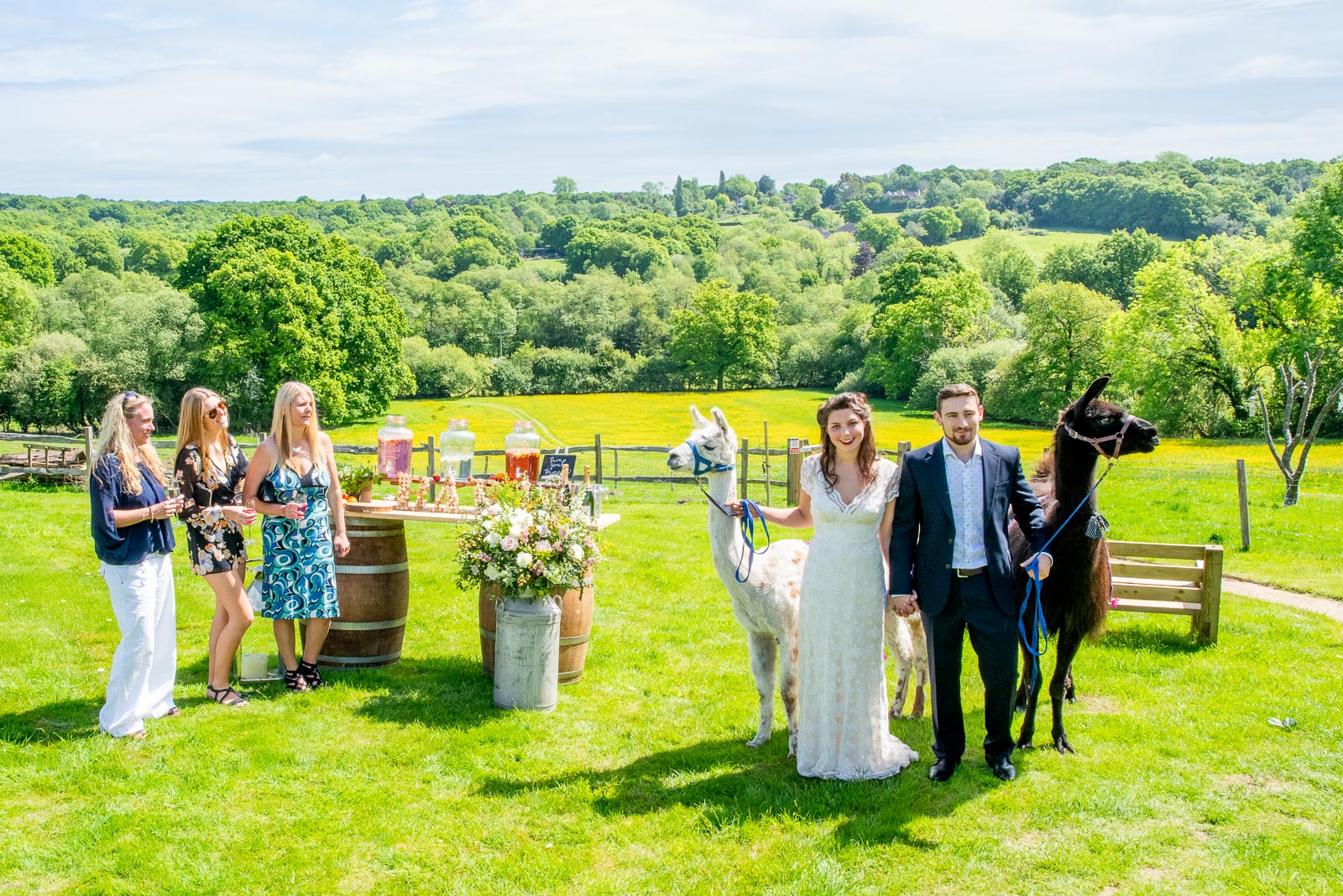 Toni, Luke their guests and two lamas pose for a photograph at Nutley Edge with Ashdown Forest in the background.