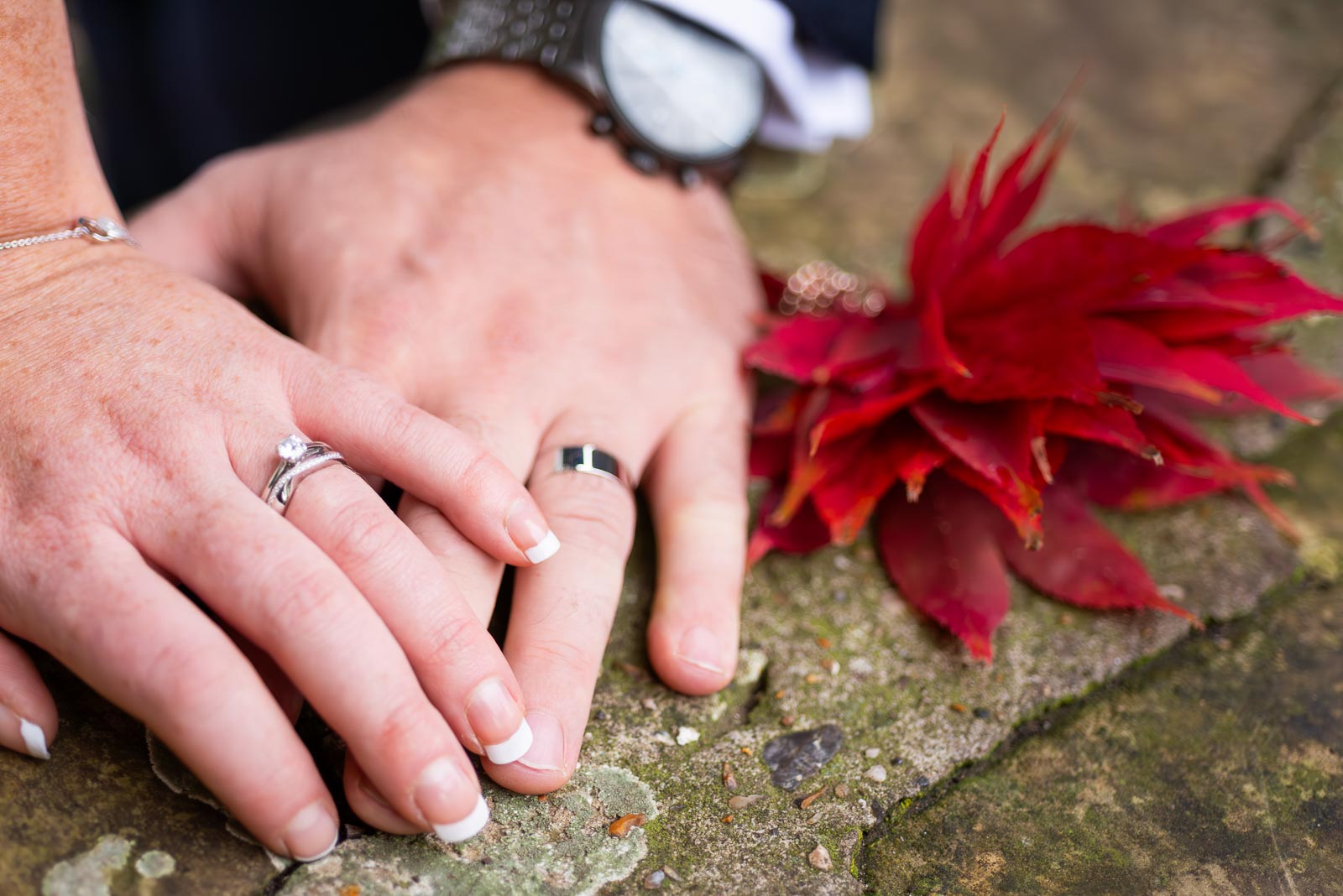 Laura and Sam show their wedding rings on a wall in Southover Grange, Lewes next to some Autumnal red leaves.