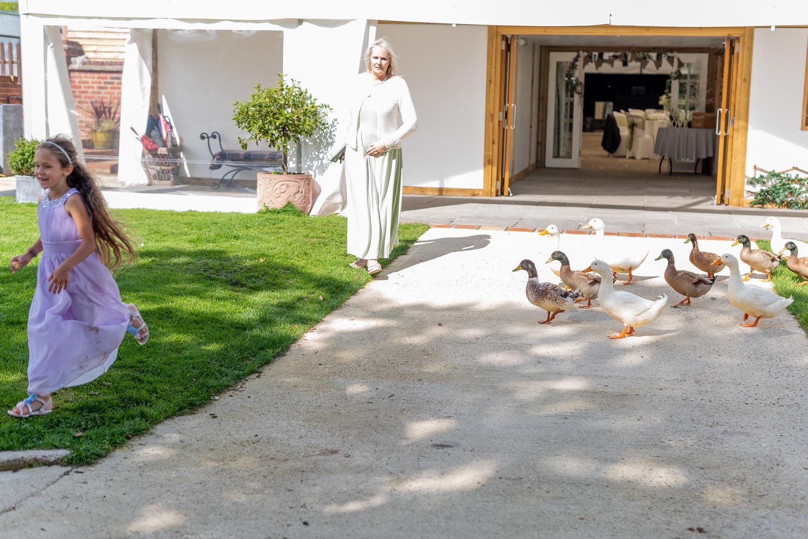 Ducks chase a young girl at the enterence of the huge marquee at Milwards Farm Estate near Lewes after Adrienn and Lee's wedding.