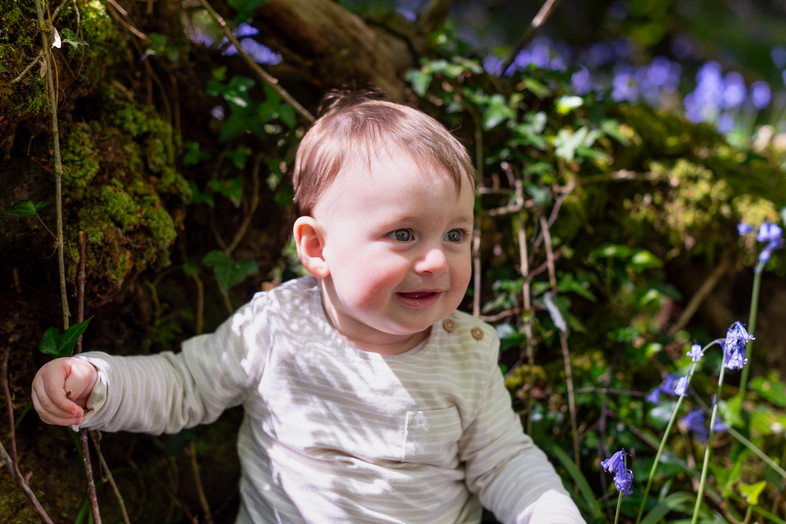 Eight month old baby Alasdair sits down and smiles off camera among the bluebells at Battle Great Woods.